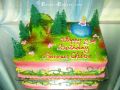 Birthday Cake-Toys 107